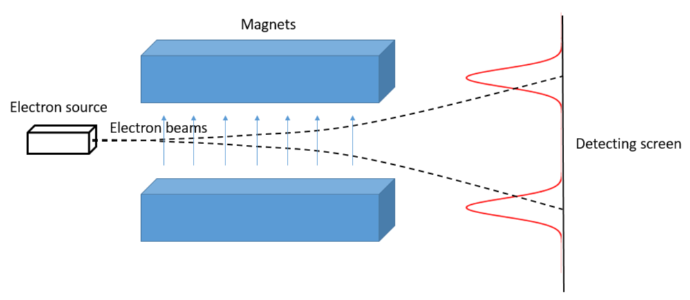Stern-Gerlach Experiment [Image via Brilliant.org]
