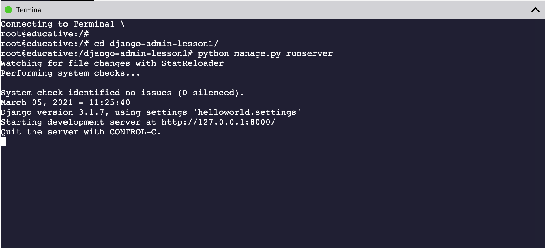 Terminal output after running the server.