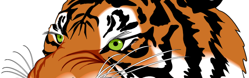 Tiger display using collections and 2 GL calls