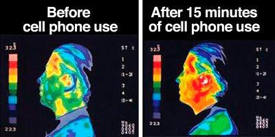  Image Credits: Penn State's SC200 course site, https://sites.psu.edu/siowfa15/2015/09/30/can-cell-phone-usage-cause-cancer/