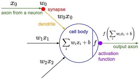 An artificial neuron showing weighted inputs, processing, and activation function output