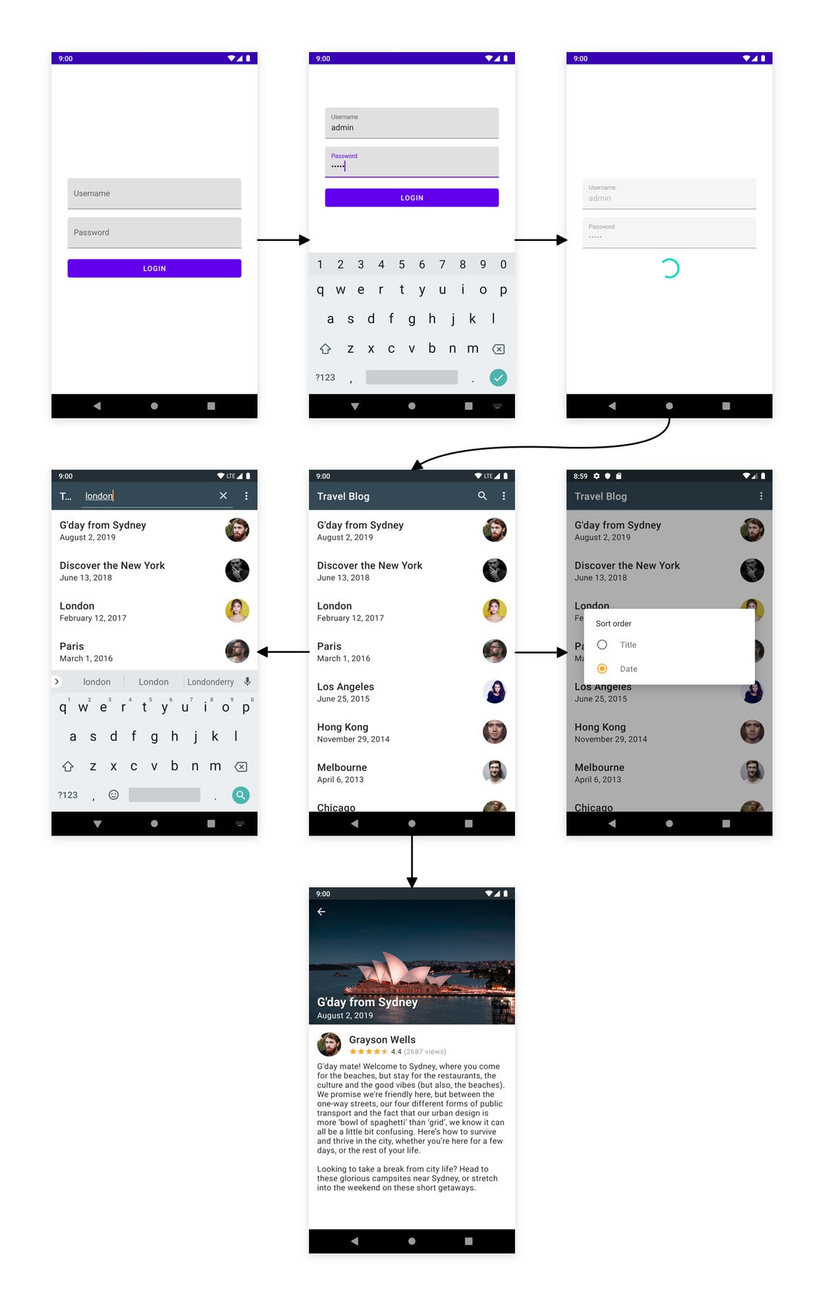 The application interface