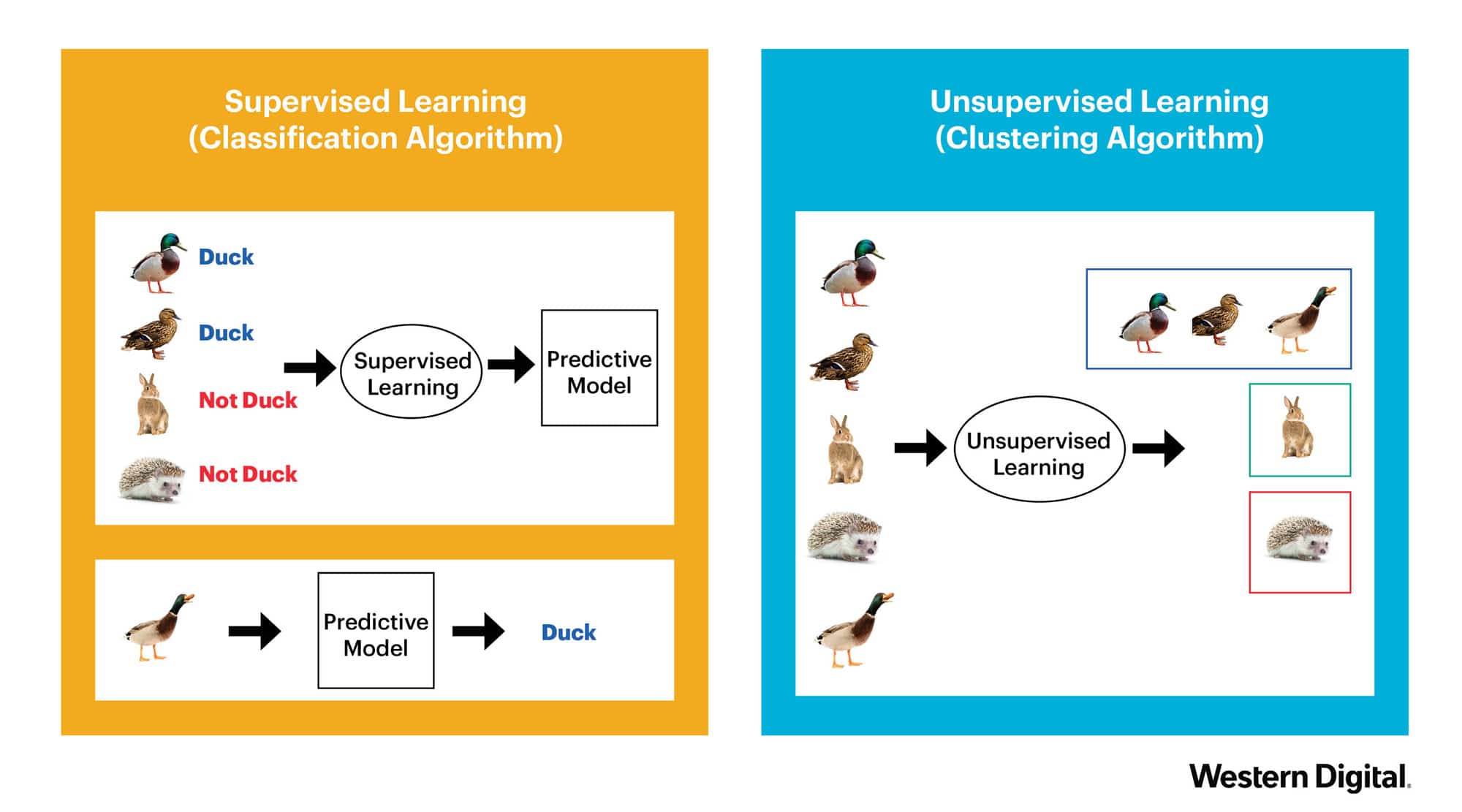 difference between supervised and unsupervised learning