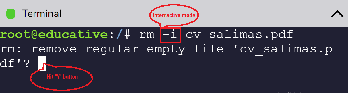 Enter interractive mode