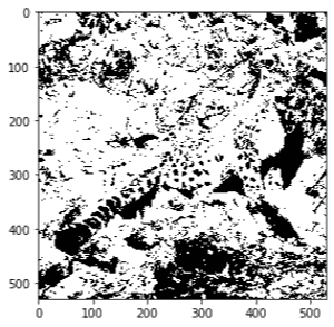 Leopard binary image obtained using threshold_otsu from skimage.filters package