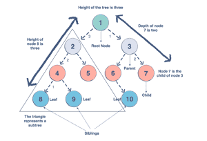 Data Structures 101: a deep dive into trees with Java