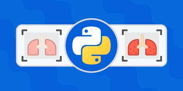 Medical Image Analysis in Python - Learn Interactively