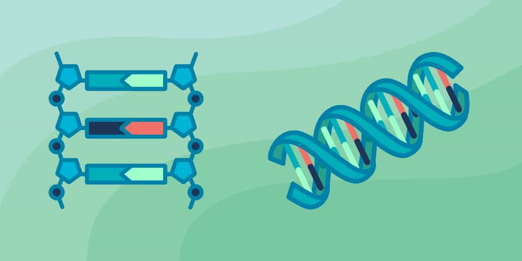 Bioinformatics Algorithms - AI-Powered Learning for Developers