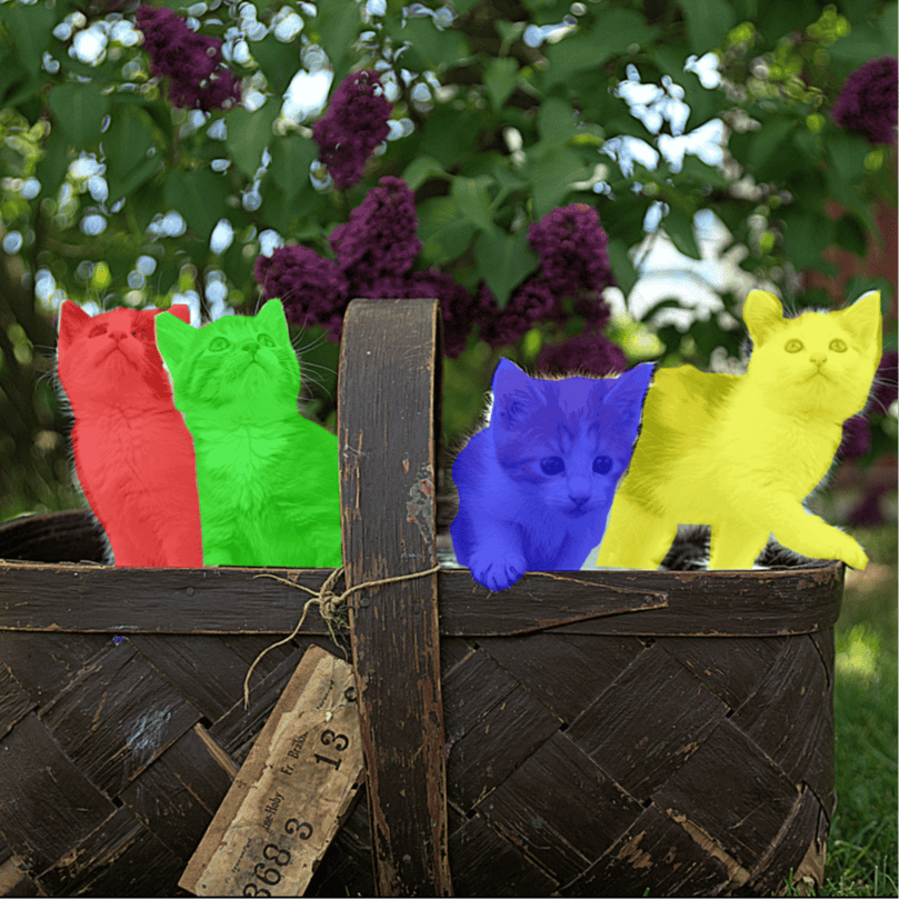 The instance segmentation