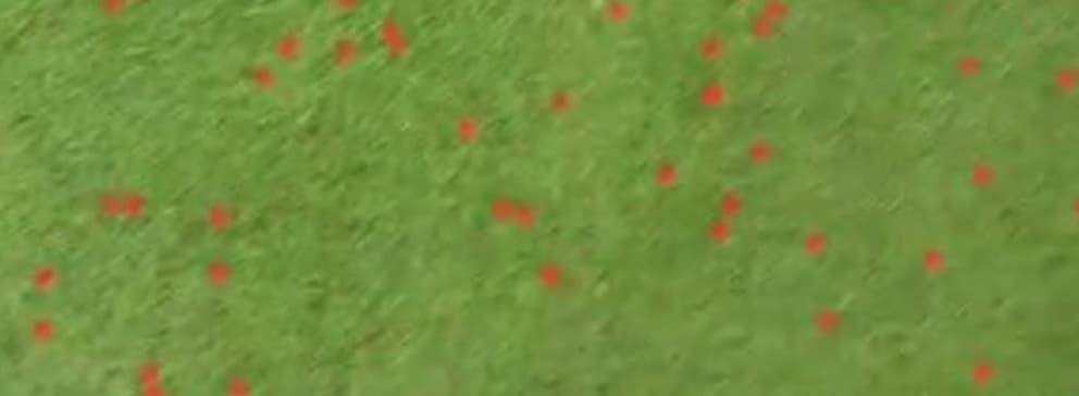 Point cloud demonstration