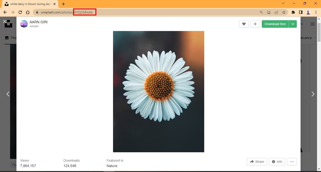How to link Unsplash images in HTML and CSS image.