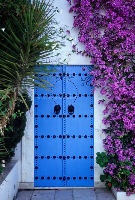 Which side would you go to take your pictures? Left or Right?