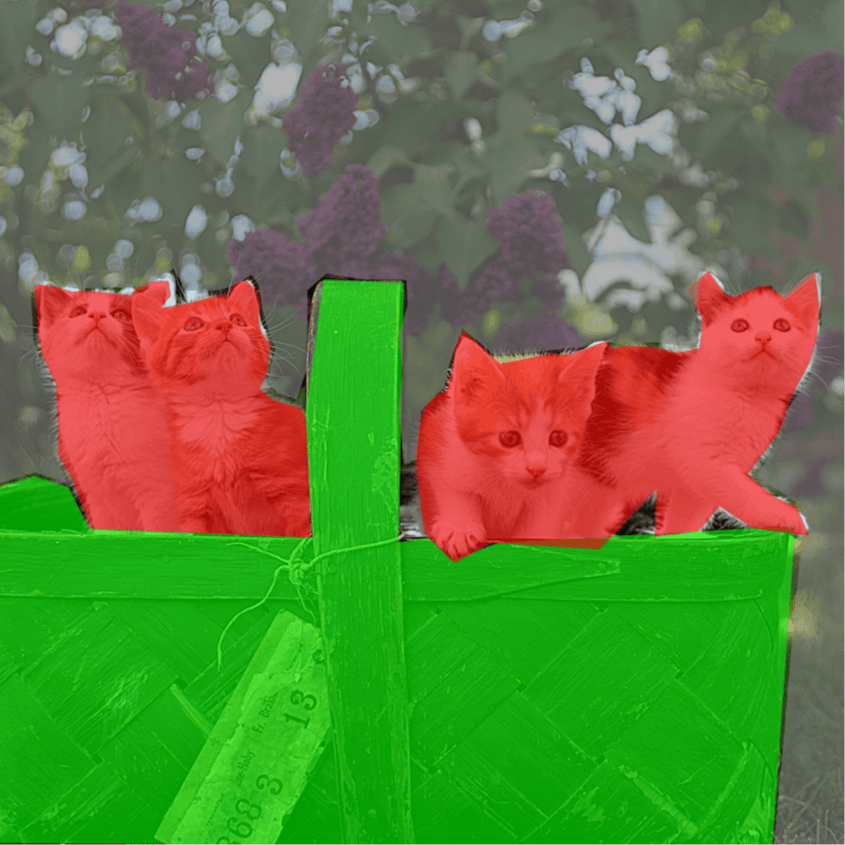 The semantic segmentation