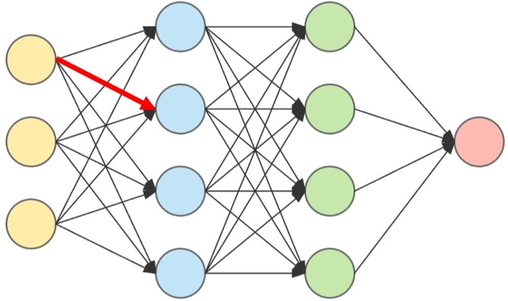 One weight (in red) becomes much larger than all the other weights