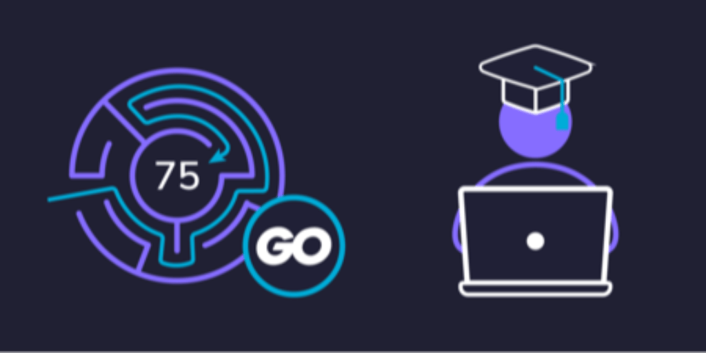 Grokking the Blind 75 Problems in Go