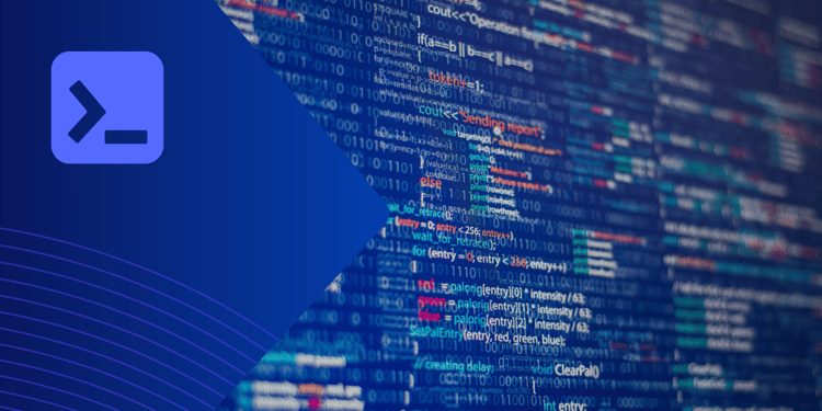My top 3 programming languages to learn in 2024