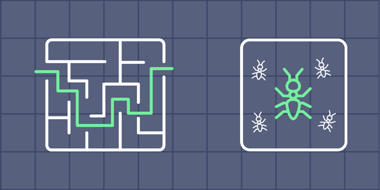 Maze Solver Using the Ant Colony Optimization Algorithm